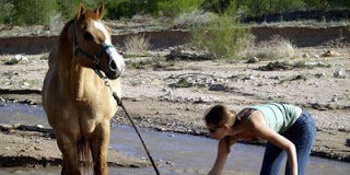 Microsoft Claims Web Searches Bad for Your Health?