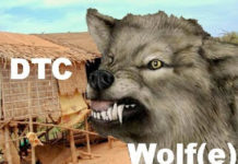 Wolf(e) at DTC Piggy’s Door Huffing and Puffing