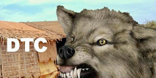 Wolf(e) at DTC Piggy’s Door Huffing and Puffing