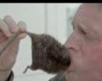 Was a Rat Harmed in the Filming of This Pfizer Commercial?