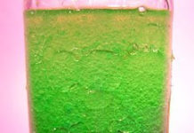 New Media, Old Regulations: Like Oil and Water, They Don’t Mix!