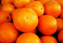 Obama, Following PhRMA’s Lead, Bans Gifts (from Lobbyists)!