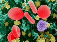 Amgen’s Bike Jersey Tchotchke Available