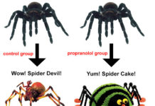 Nightly News Trigger Bad Memories of the Great 2008 Depression? Try propranolol!