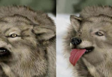 Wolfe Defanged at FDA Advisory Committee Meeting on J&J’s rivaroxaban