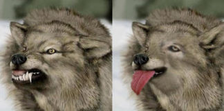 Wolfe Defanged at FDA Advisory Committee Meeting on J&J’s rivaroxaban