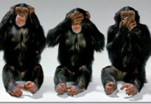 Redirect URLs in Adwords: Who Knew What When?