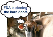 Distribution of Reprints: Another Example of FDA Flexing Its Enforcement Muscles