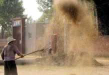 Quality Healthcare Social Media: Separating the Wheat from the Chaff