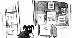 Pfizer’s Social Media Strategy: Piss Off John Mack, Get Hundreds of New Followers!