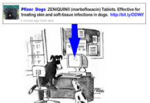 Twitter’s for the Dogs! … and Other “Indirect Customers”