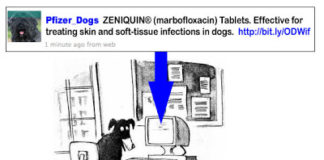 Twitter’s for the Dogs! … and Other “Indirect Customers”