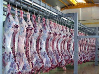 FDA Panelists at the Upcoming Social Media Public Hearing