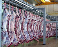 FDA Panelists at the Upcoming Social Media Public Hearing