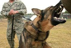 If You Can’t Beat the Regulators, Sic ‘Em on You Competition!