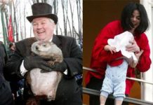 Groundhog Vs. Child Celebrities