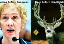 Parallels Between BP and J&J