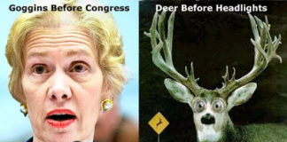 Parallels Between BP and J&J