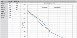 My Journey From Obesity to Normal. First Stop: Stuck in Overweight!