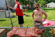 Abbott Fetes Barred Cardiologist with High Cholesterol Pig Roast
