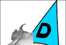 Pharma Marketing News Vol. 10, No. 8: 28 April 2011