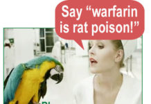 BI Masters the Art of WOM through Its “Parrots,” er, Spokespersons