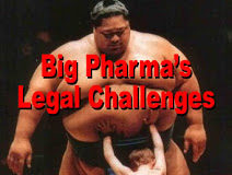 Is the Pharma Industry Responsible for FDA’s Delay in Issuing Social Media Guidelines?