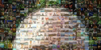 Are You Part of My Social Media Mosaic?