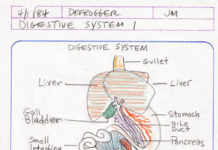 Gamification’s Brave New World Circa 1984: Operation Frog