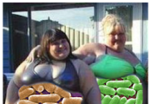 Can Obesity Be Treated with Cheap Antibiotics?