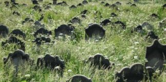 Where Have All the “Really Good” Marketers Gone?