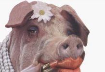 How to Gloss Over Warnings in TV DTC Ads