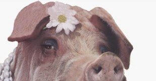 How to Gloss Over Warnings in TV DTC Ads