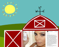 Social Media “Corrective Messages”: Closing the Barn Door After the Cow Has Left!