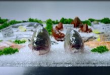 PinUp: IoT infographic, Self-Quantification Research Study, Oncology’s Catch-22, Smelly Fish, More…