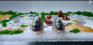 PinUp: IoT infographic, Self-Quantification Research Study, Oncology’s Catch-22, Smelly Fish, More…