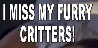 PinUp: False Hope: From War on Opioids to War on Cancer, More…