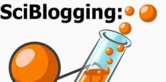 PinUp: Beware of Technology WizKid “Real Deals” Selling Fake Ads, More…