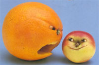 Orange vs Apple