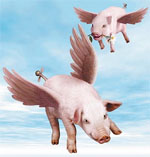 Flying Pigs